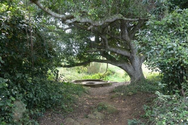 广东湛江最值得去的八大景点（有谁还记得湛江十景） 第4张
